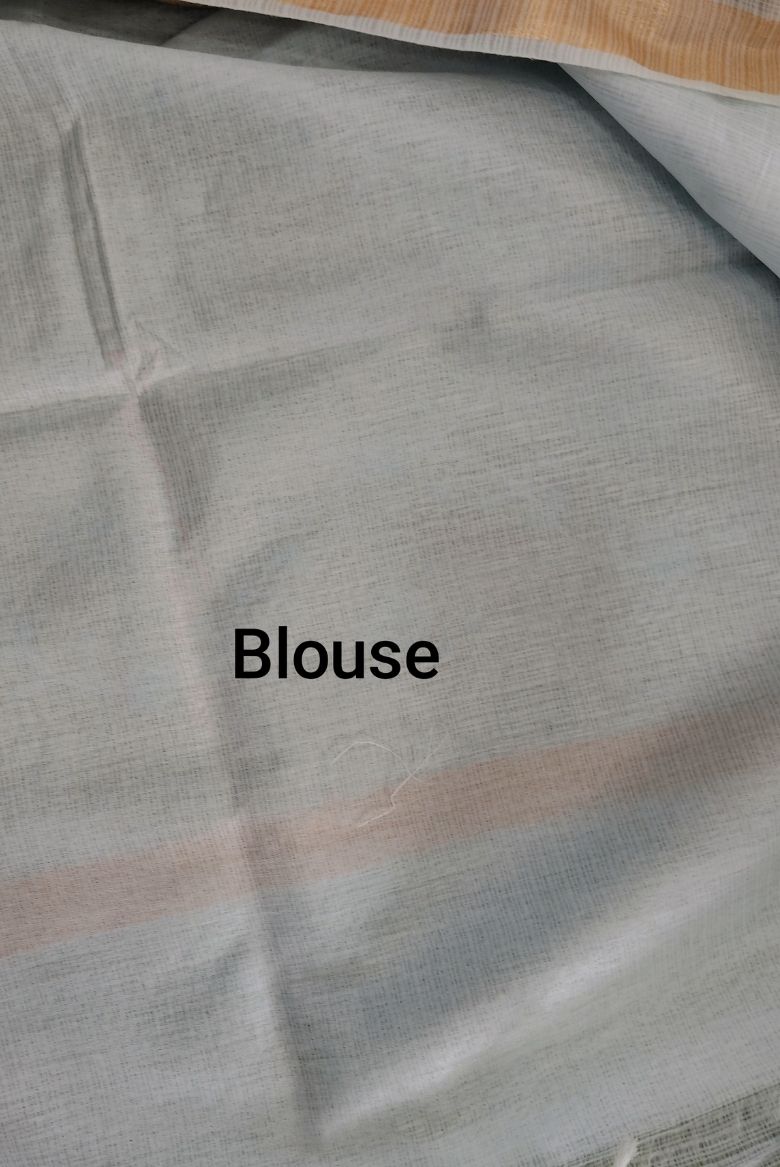 Icy Blue Kota Doriya Organza Silk Saree with Floral Embroidery - Image 4