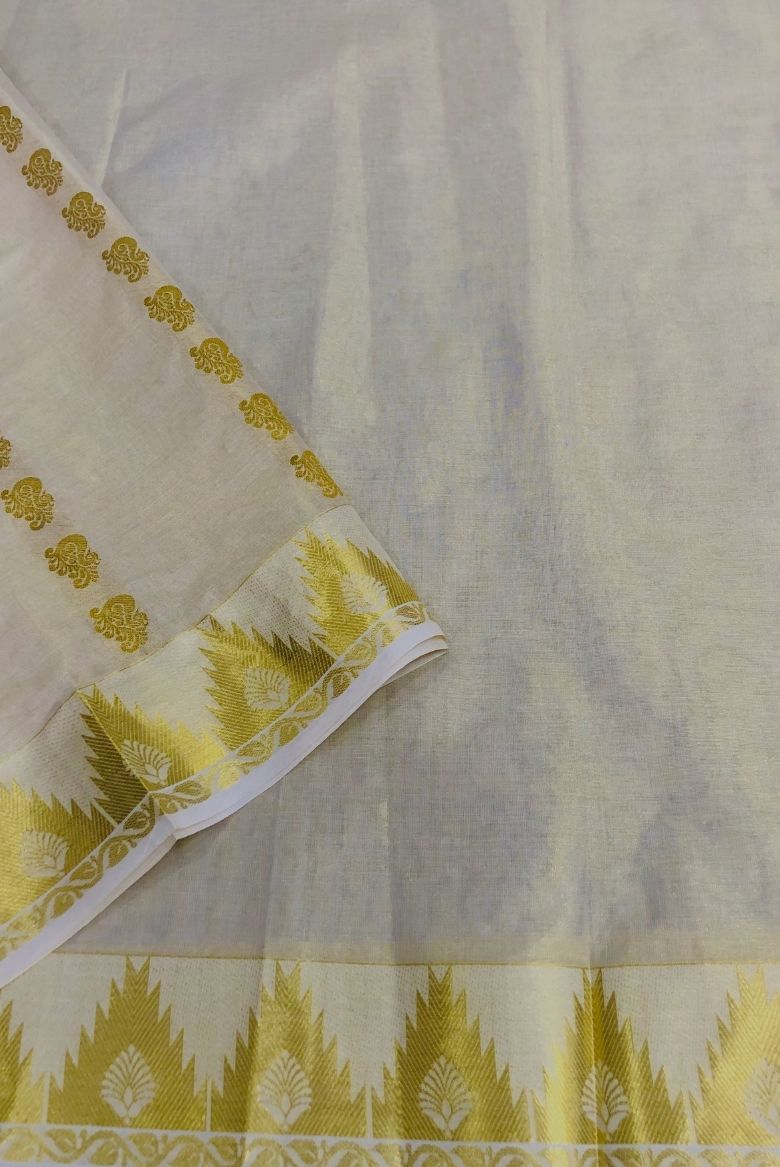 Premium Tissue Set Saree with Temple Border - Image 2